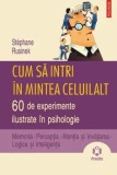 Cumpara ieftin Cum sa intri in mintea celuilalt. 60 de experimente ilustrate in psihologie/Stephane Rusinek