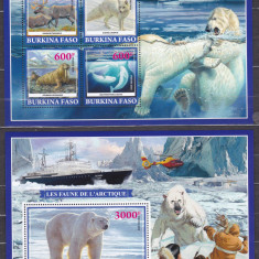 DB1 Fauna Arctica Burkina Faso Ursi Albi Reni Foci Vulpe polara MS + SS MNH