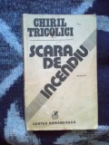 e1 Scara de incendiu - Chiril Tricolici