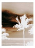 Tablou Canvas Vise Crepusculare Tropicale Ethereale, 26 x 39 cm, CMCLASS