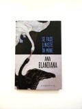 Se face liniște &icirc;n mine - Ana Blandiana