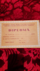 DIPLOMA STEFAN GHEORGHIU IN ALB foto