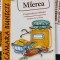 Mierea - Proprietati si utilizari - Daniela Guaiti
