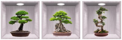 Sticker Bonsai 3D - Nise Lemn foto