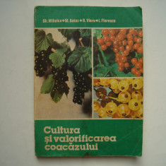 Cultura si valorificarea coacazului - Gh.Mihalca, M.Botez, R.Vieru, I.Florescu