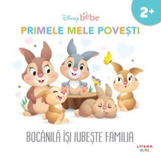 Disney bebe. Bocanila isi iubeste familia. Primele mele povesti - Litera