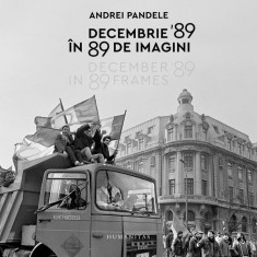 Decembrie '89 în 89 de imagini - Paperback brosat - Andrei Pandele - Humanitas