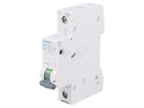 &Icirc;ntrerupător Supracurent 230V 10A 1P B