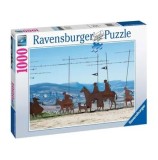 Puzzle Ravensburger - Drumul Sfantului Iacob, 1000 piese