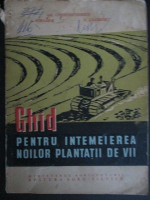 Ghid pentru intemeierea noior plantatii de vii foto