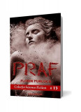 Praf (Vol.1) - Paperback brosat - Florin Purluca - Pavcon, 2021