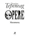 Opere 8. Maramures | Dumitru Tepeneag, 2021, Tracus Arte