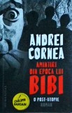 Andrei Cornea - Amintiri din epoca lui Bibi. O post-utopie