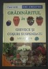 Jane Courtier - Gradinaritul in ghivece si cosuri suspendate