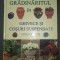 Jane Courtier - Gradinaritul in ghivece si cosuri suspendate