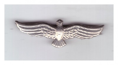 Semn de arma aviatie RSR argintiu (subofiter) foto