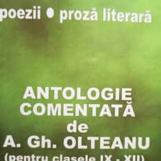 A. Gh. Olteanu - Mihai Eminescu - Poezii. Proza literara (2007)