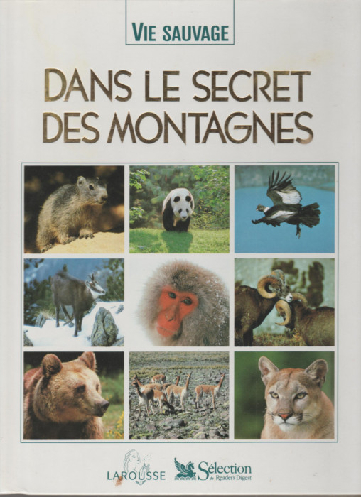 Dans le secret des montagnes (lb. franceza)