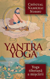 Yantra Yoga - Yoga tibetana a miscarii - Herald