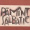 Pamant salbatic