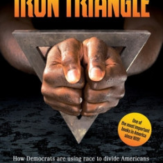 The Iron Triangle: Inside the Liberal Democrat Plan to Use Race to Divide Christians and America in their Quest for Power and How We Can