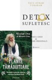 Pachet Detox natural pentru corp si suflet - Bookzone
