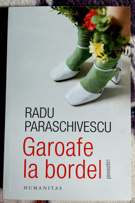 Garoafe la bordel - Radu Paraschivescu foto