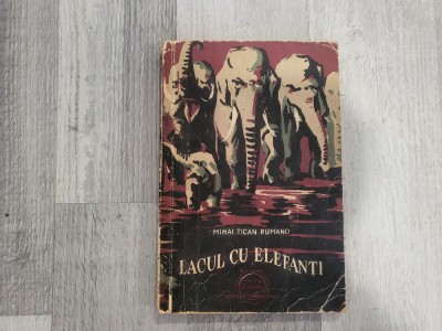 Lacul cu elefanti de Mihai Tican Rumano foto