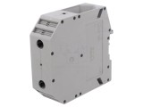 Conector de șine 150mm2, 2 borne, gri, lățime 31mm