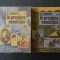 C. STERE - IN PREAJMA REVOLUTIEI 2 volume