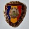 MILITAR DE FRUNTE varianta stema mare, anii 1970 - insigna militara RSR