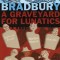 A Graveyard for Lunatics a Graveyard for Lunatics: Another Tale of Two Cities Another Tale of Two Cities