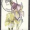 Dhufar 1976 Flowers, mini imperf.sheet, used AI.009