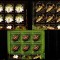 Romania 2008, LP 1822 a, Paraul Petea, minicoli de 6 cu tabs, MNH! LP 48,30 lei
