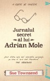 Jurnalul secret al lui Adrian Mole | paperback - Sue Townsend