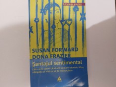 Santajul sentimental Susan Forward