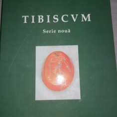 Tibiscum 2012- Arheologie, istorie, etnografie (Banat, arhitectura traditionala)