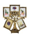 Rama foto copac MONEY TREE wenge 5 poze
