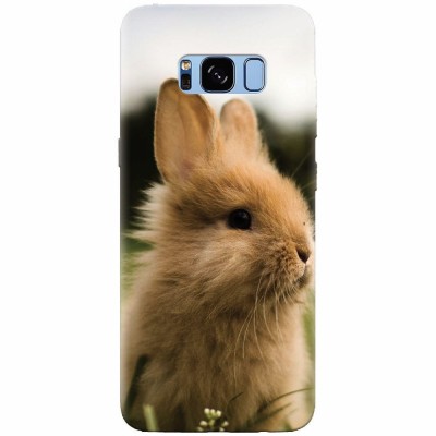 Husa silicon pentru Samsung S8 Plus, Cute Rabbit In Grass foto