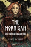 The Morrigan: Celtic Goddess of Magic and Might