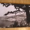 QW23 B - Carte postala - tematica turism - vedere - Romania - Bicaz 1
