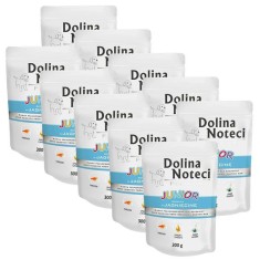 Dolina Noteci Premium Junior Rich In Lamb 10 x 300 g foto
