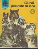 Cumpara ieftin Ciinii, Pisicile Si Noi - Virgil Popa, Ruxandra Nicolescu, Dumitru Dumitrescu