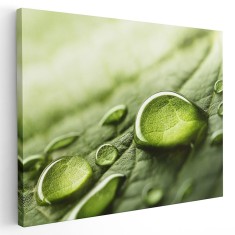 Tablou picaturi de roua pe frunza, detaliu, verde 1596 Tablou canvas pe panza CU RAMA 40x60 cm