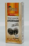 Extract din anghinare fara alcool 200ml, NATURA PLANT POIENI