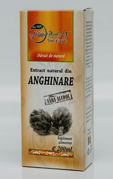 Extract din anghinare fara alcool 200ml foto
