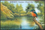 Jersey 2001 - Păsări de apa, Belgica, colita neuzata
