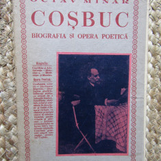 Coșbuc, biografia și opera poetică, Octav Minar, desen Iser