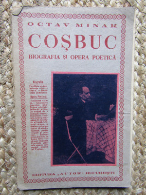 Coșbuc, biografia și opera poetică, Octav Minar, desen Iser foto