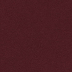 Niv, Kjv, Nasb, Amplified, Parallel Bible, Bonded Leather, Burgundy: Four Bible Versions Together for Study and Comparison